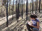 Katrina Fisk and Wildfire Impact Study