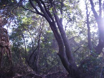 DSCN3678